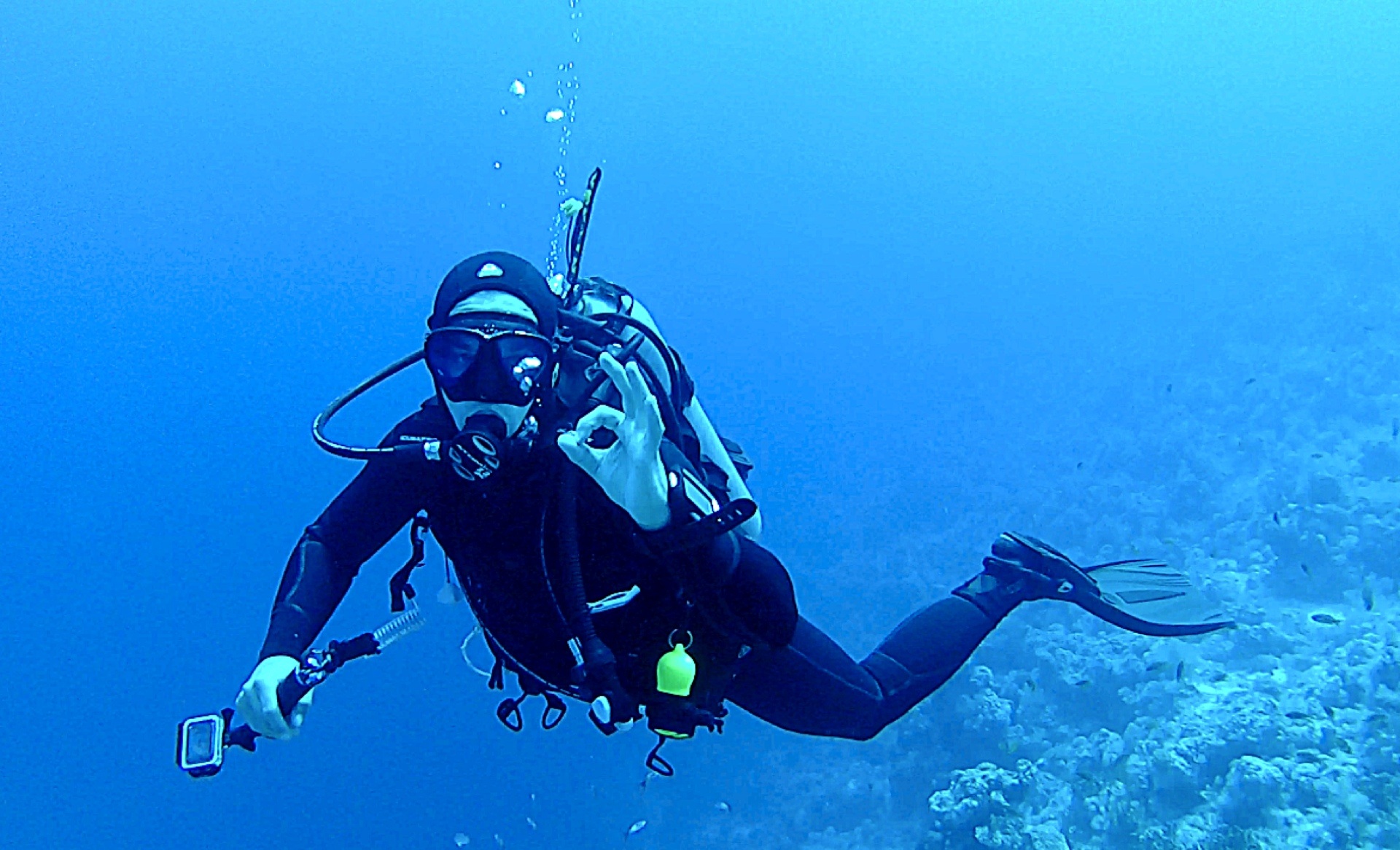 Fodele Reef Scuba Diving