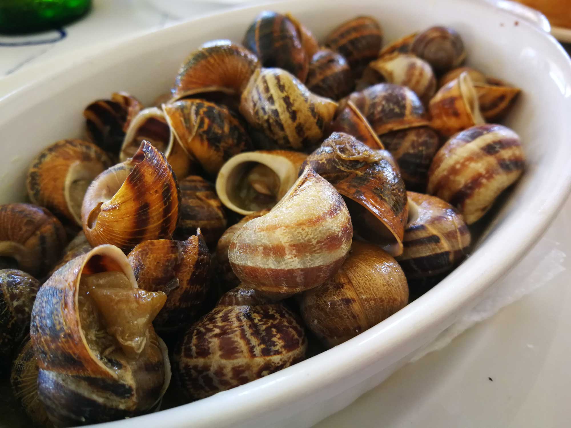 Cretan snails: Snail farm and fun