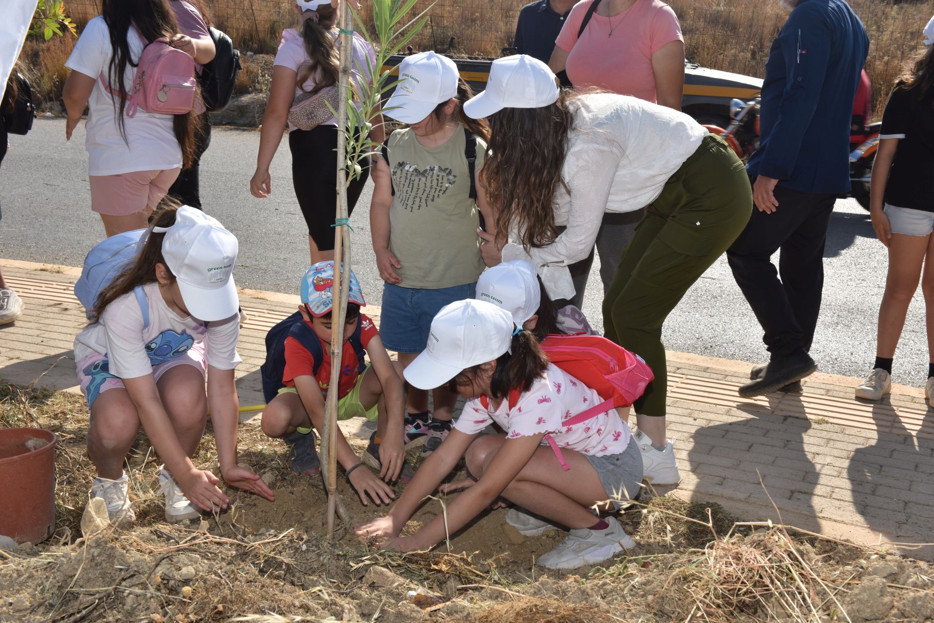 🌍 Planting the Future Together: Fodele Beach Joins Local Tree-Planting Initiative for a Greener Tomorrow